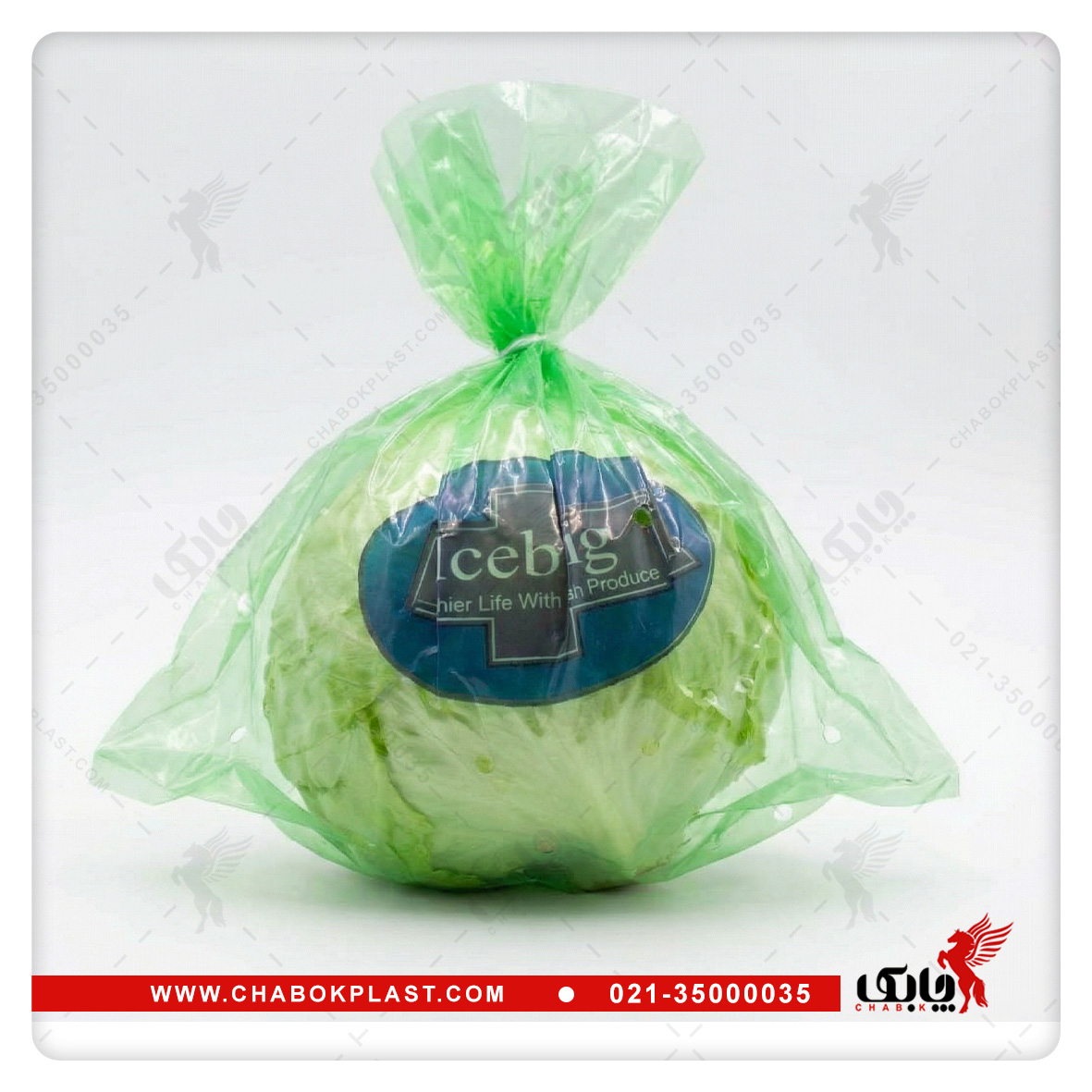 سلفون آیسبرگ کاهو